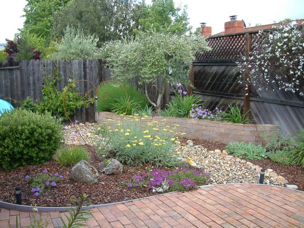 Lawnless Courtyard Backyard