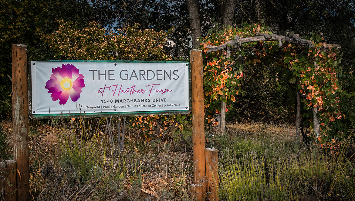 Welcome To The Gardens!