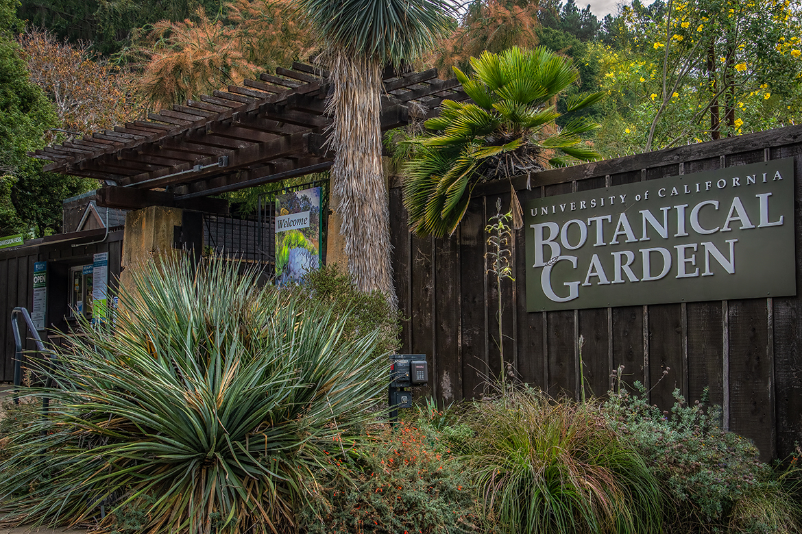 Welcome to UC Berkeley Botanical Garden