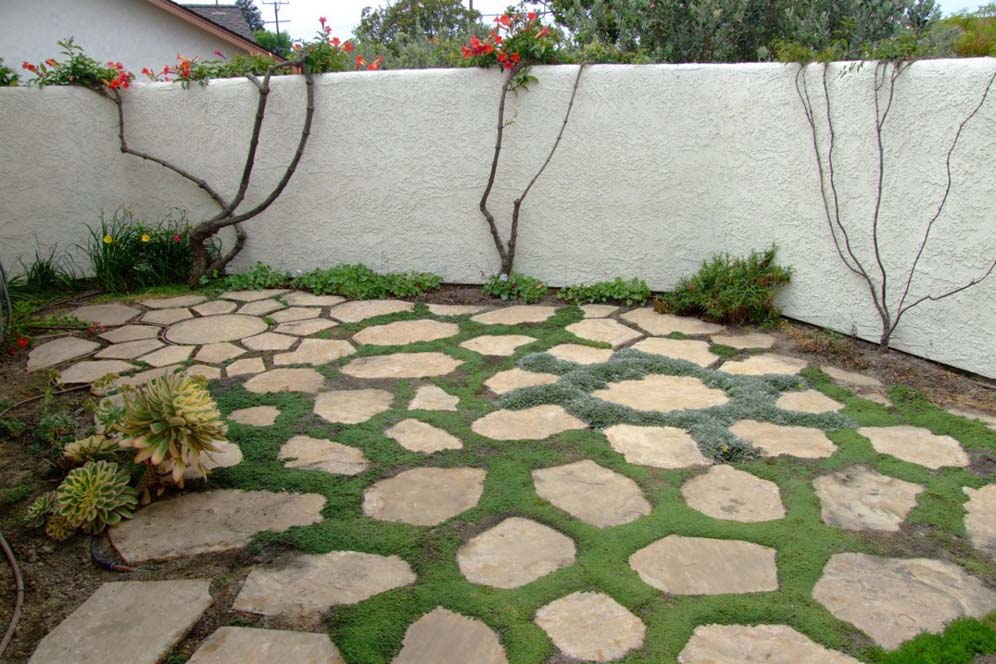 Stepping Stone Lawn