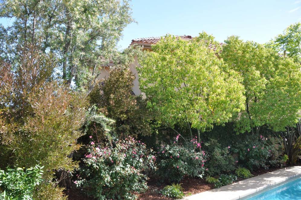Privacy for the Backyard