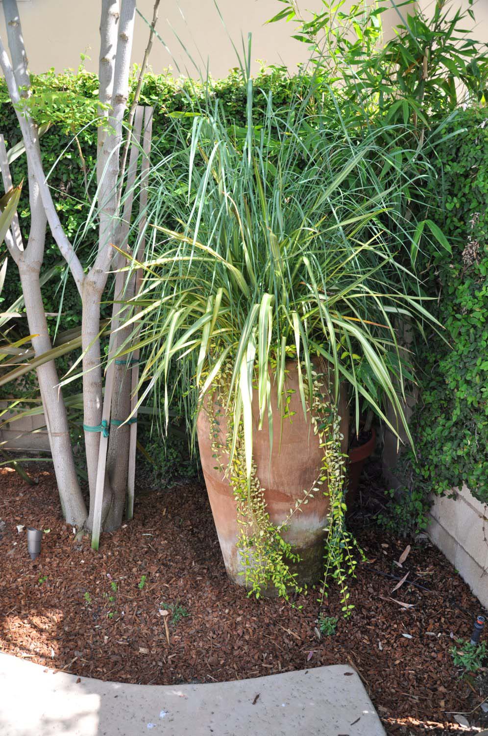 Urn in Corner