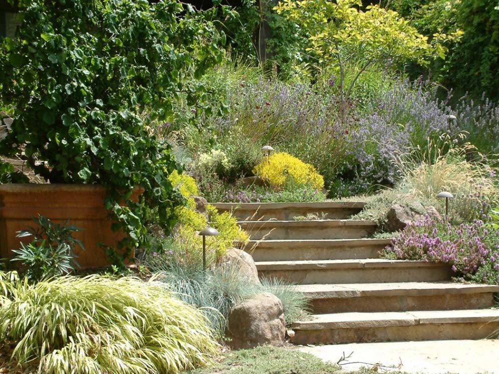 Step UP to the Garden