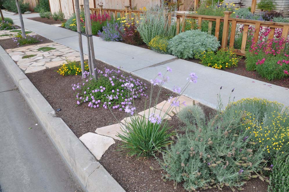 Park Strip Planting