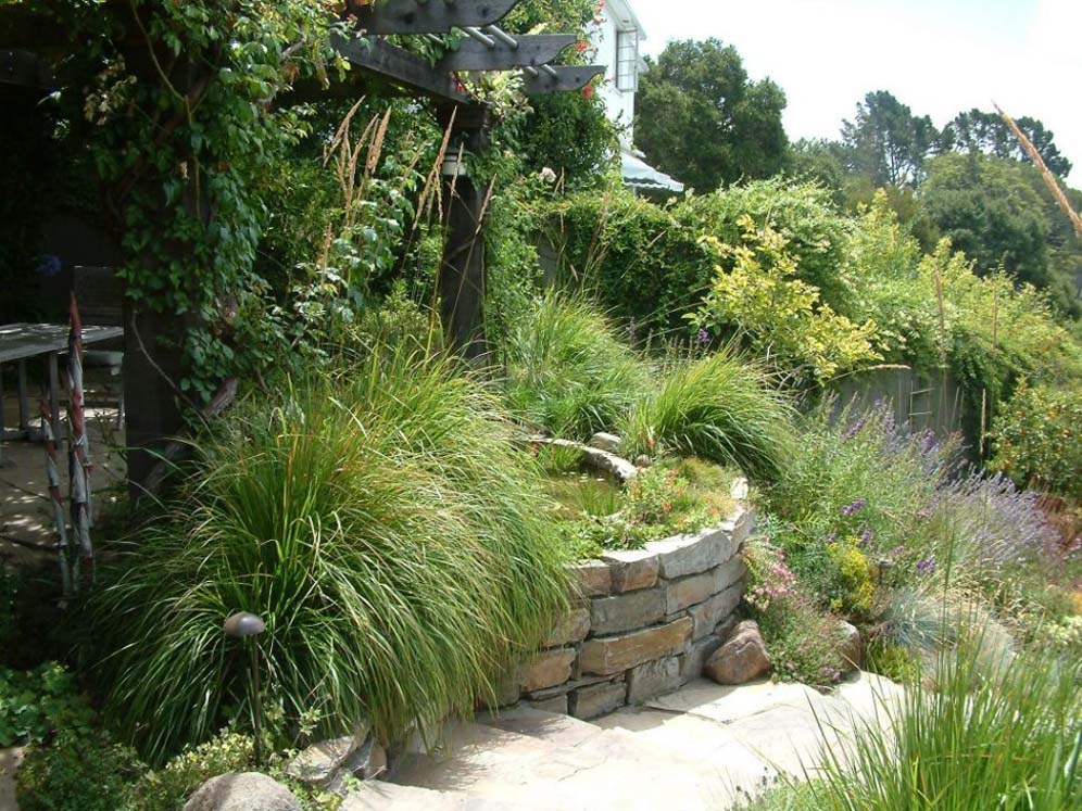 Take a Seat by the Pond