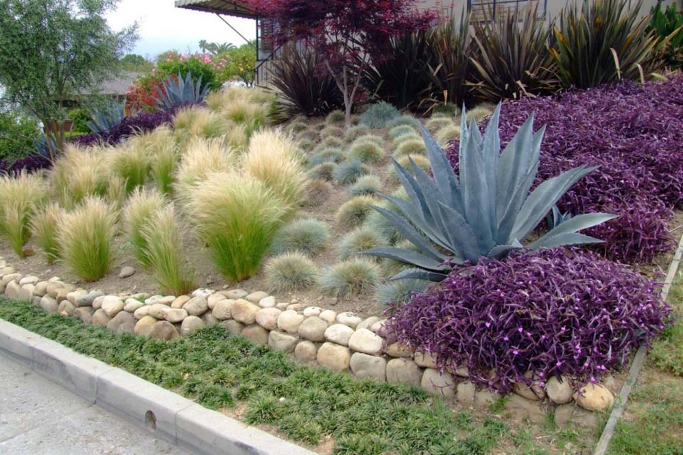 Majestic Hillside