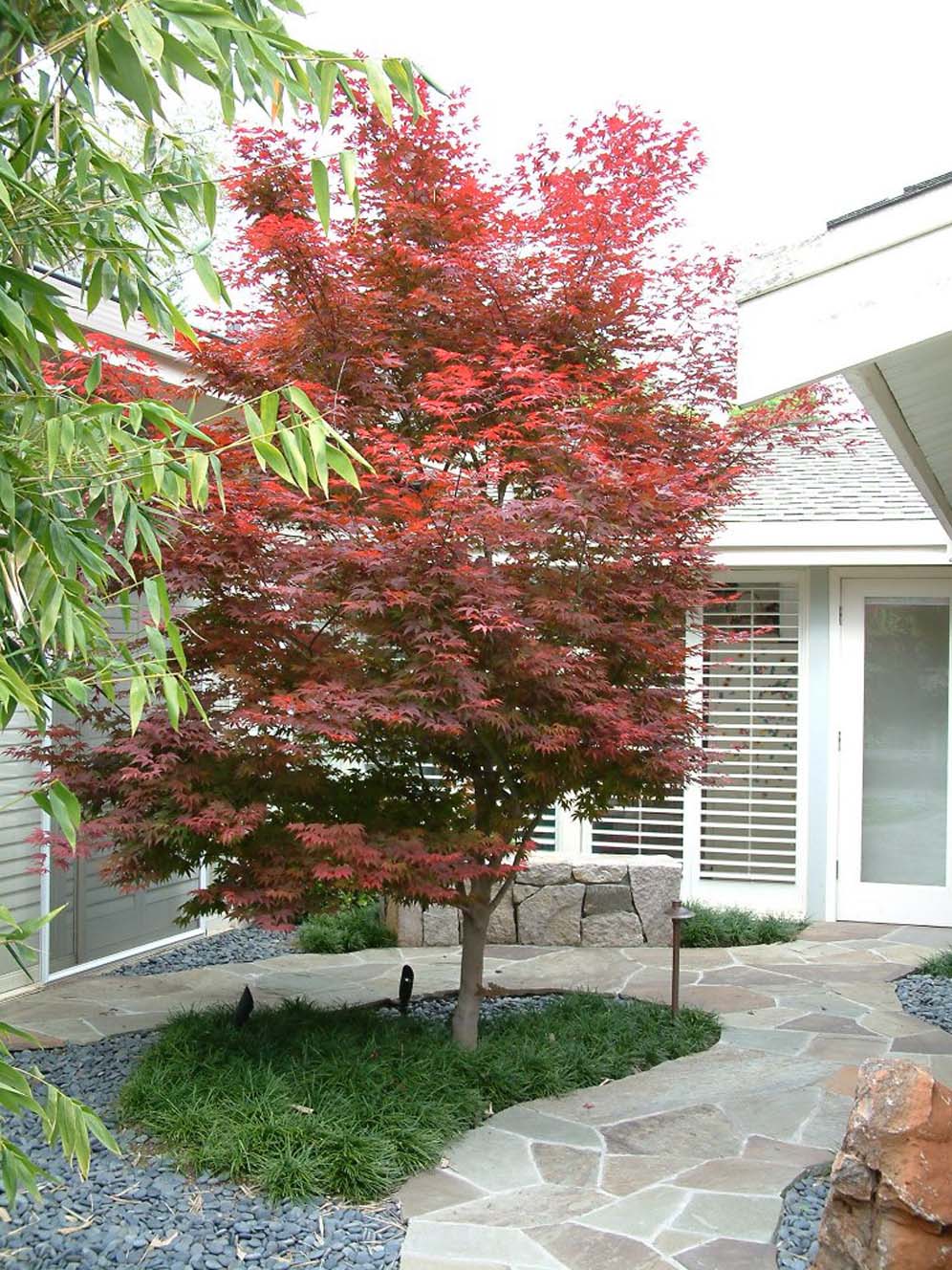 California Courtyard