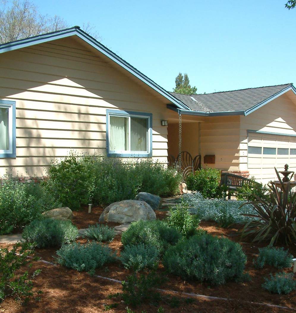 Mulched Garden1