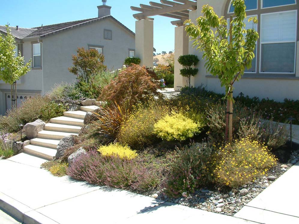 Suburban Splendor Garden