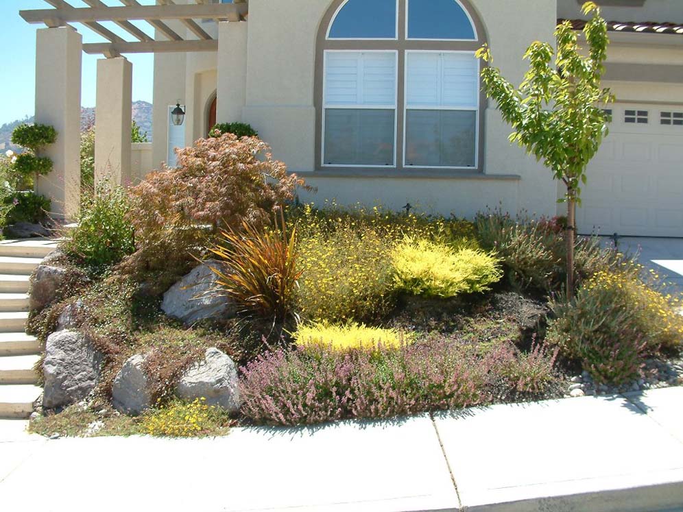 Rock and Garden Display