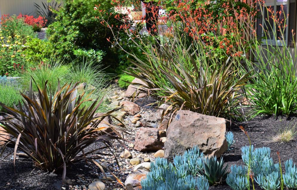 Cumbrian's Mediterranean Garden