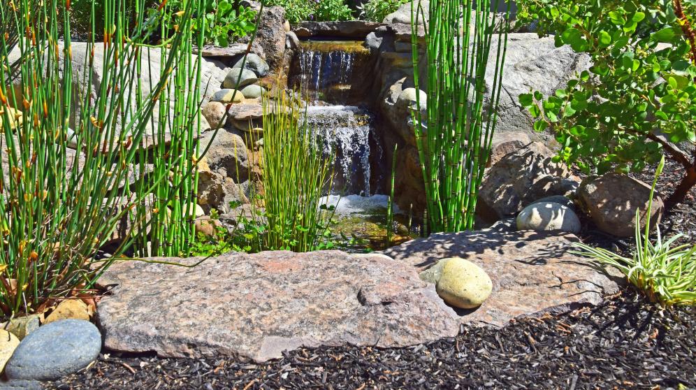 A water feature