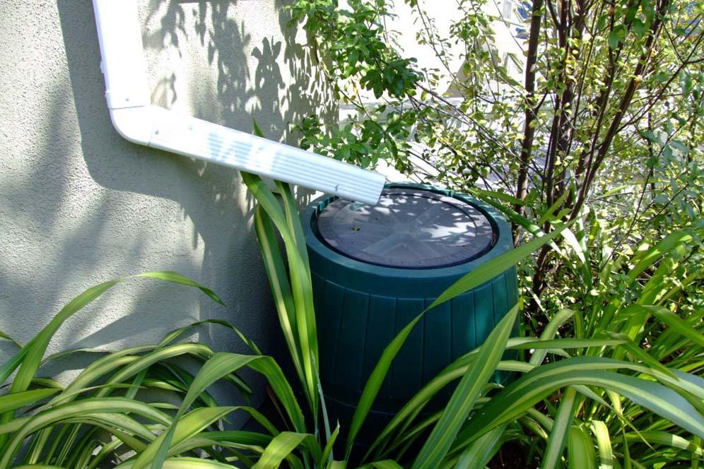 Rain Gardens and Water Harvesting