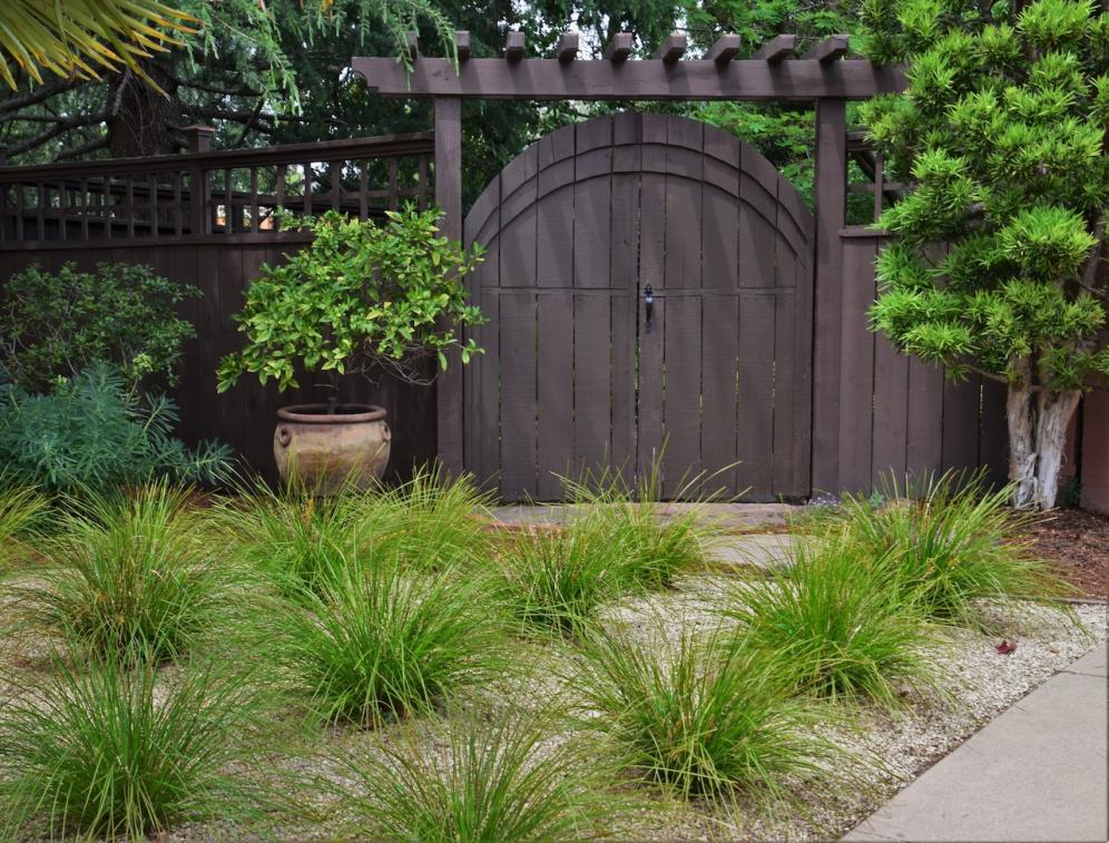 Elegant Gate