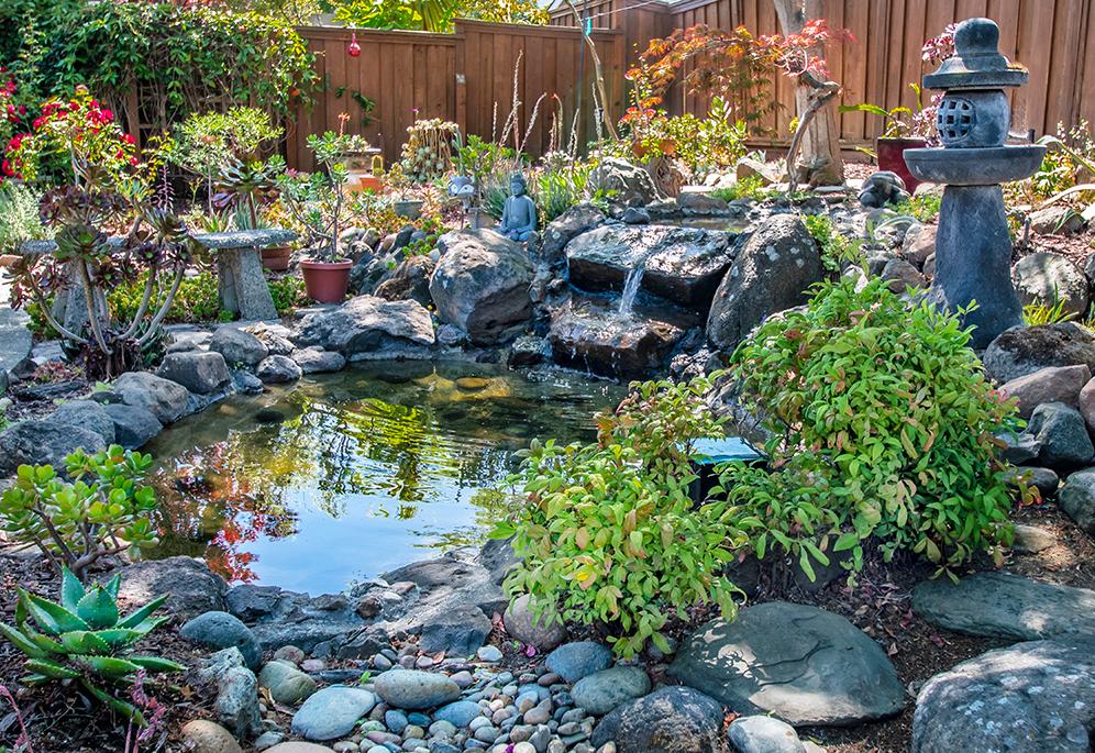 Reflecting Upon The Pond