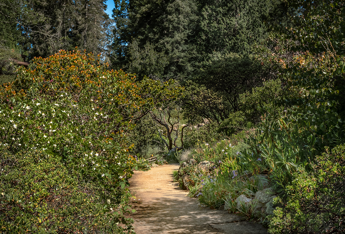 Tilden 2