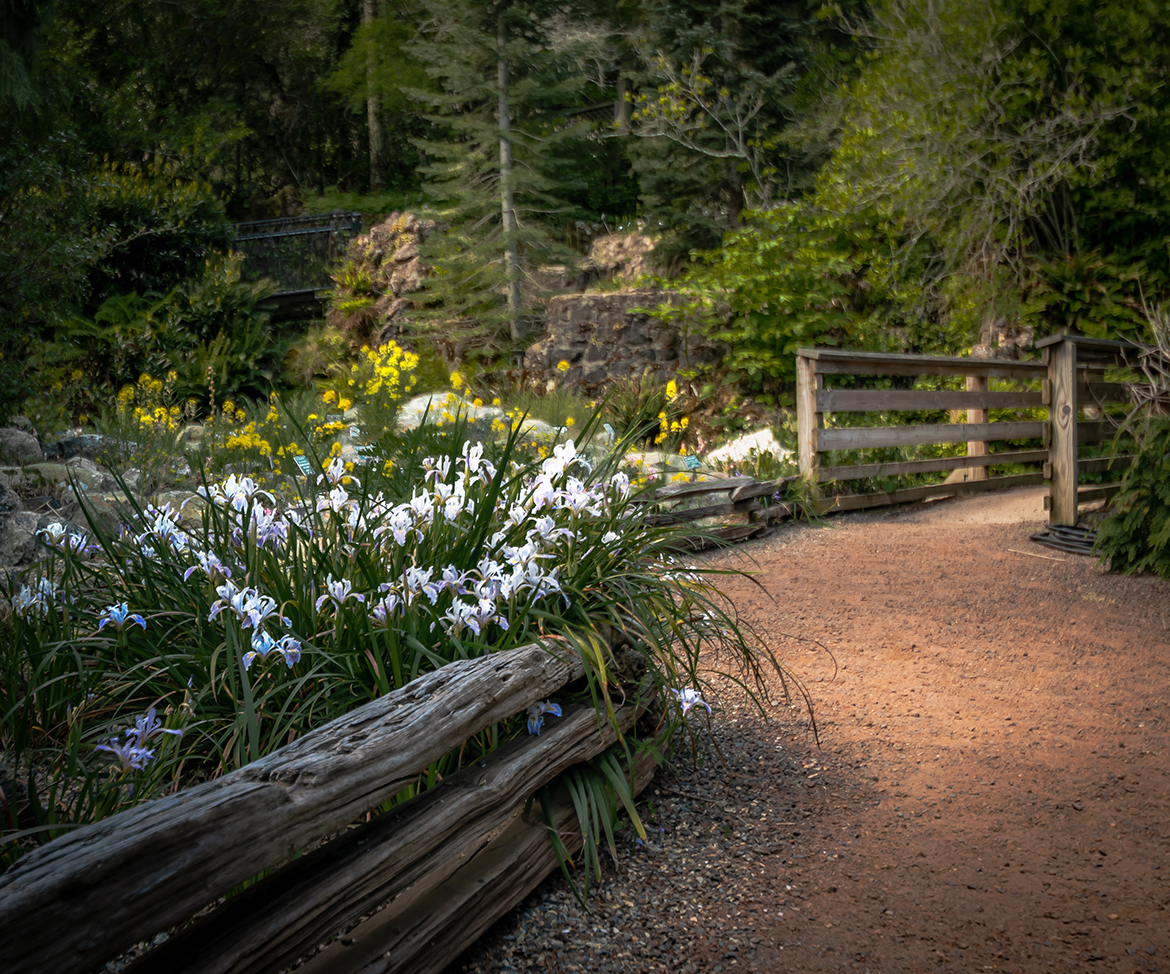 Tilden 3