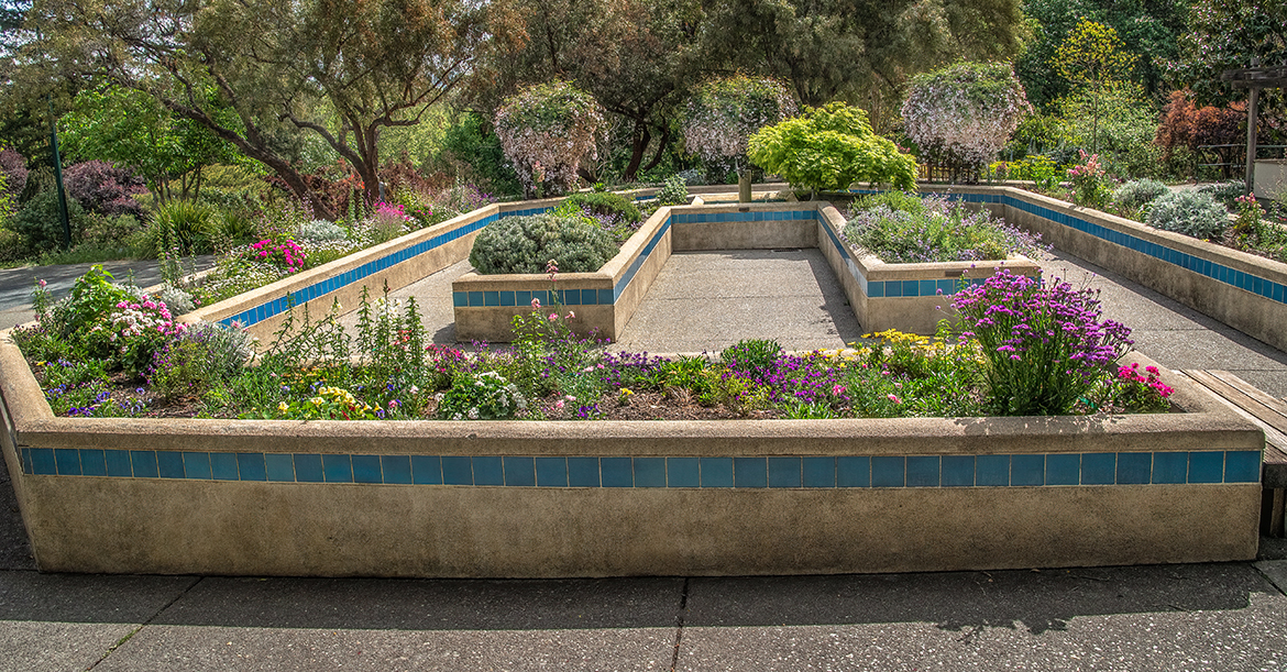 Raised Planters