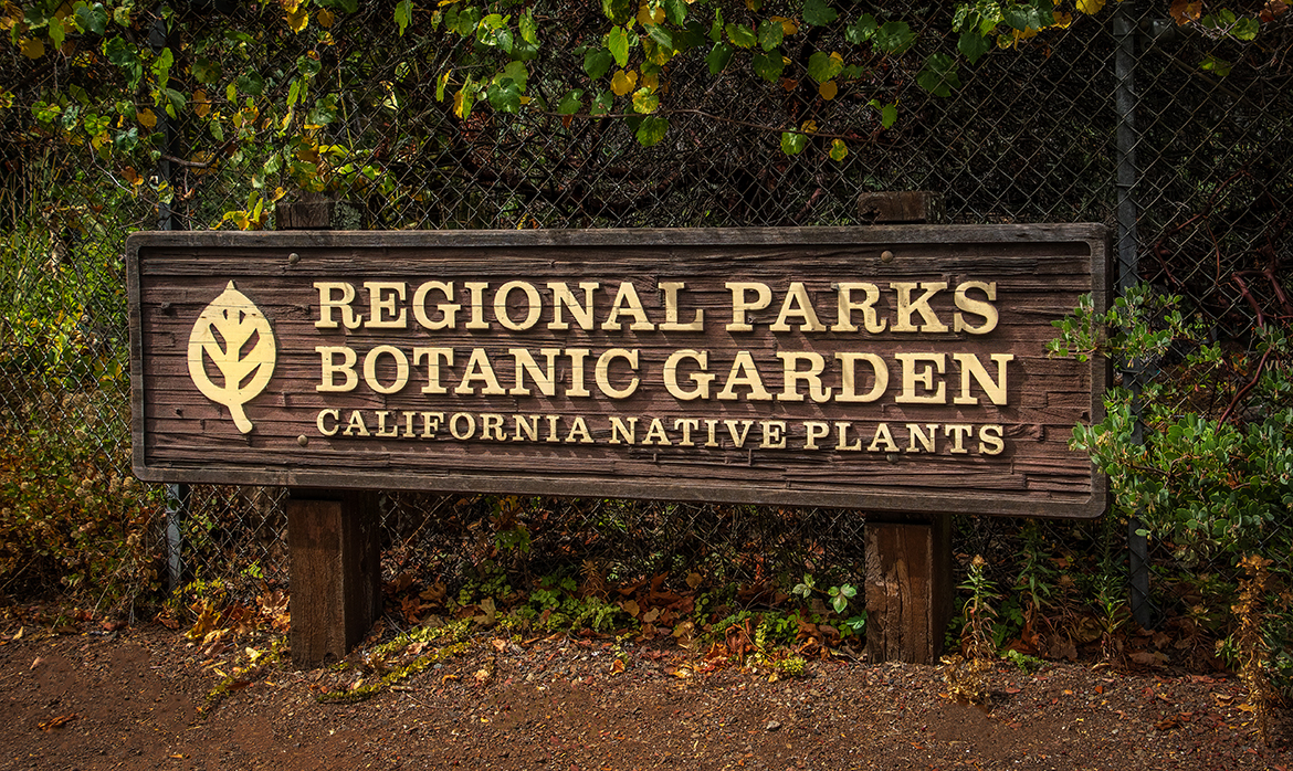 Tilden Botanic Garden