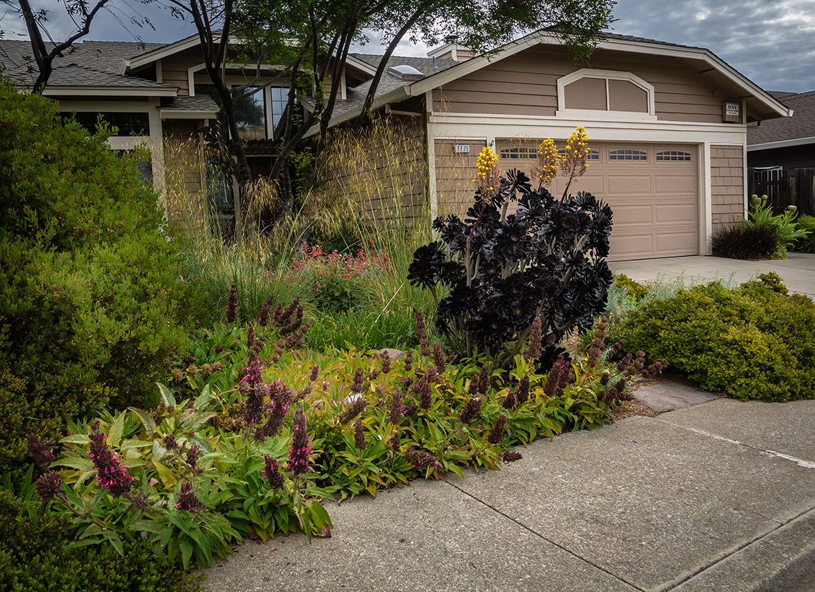 Sidewalk Edge