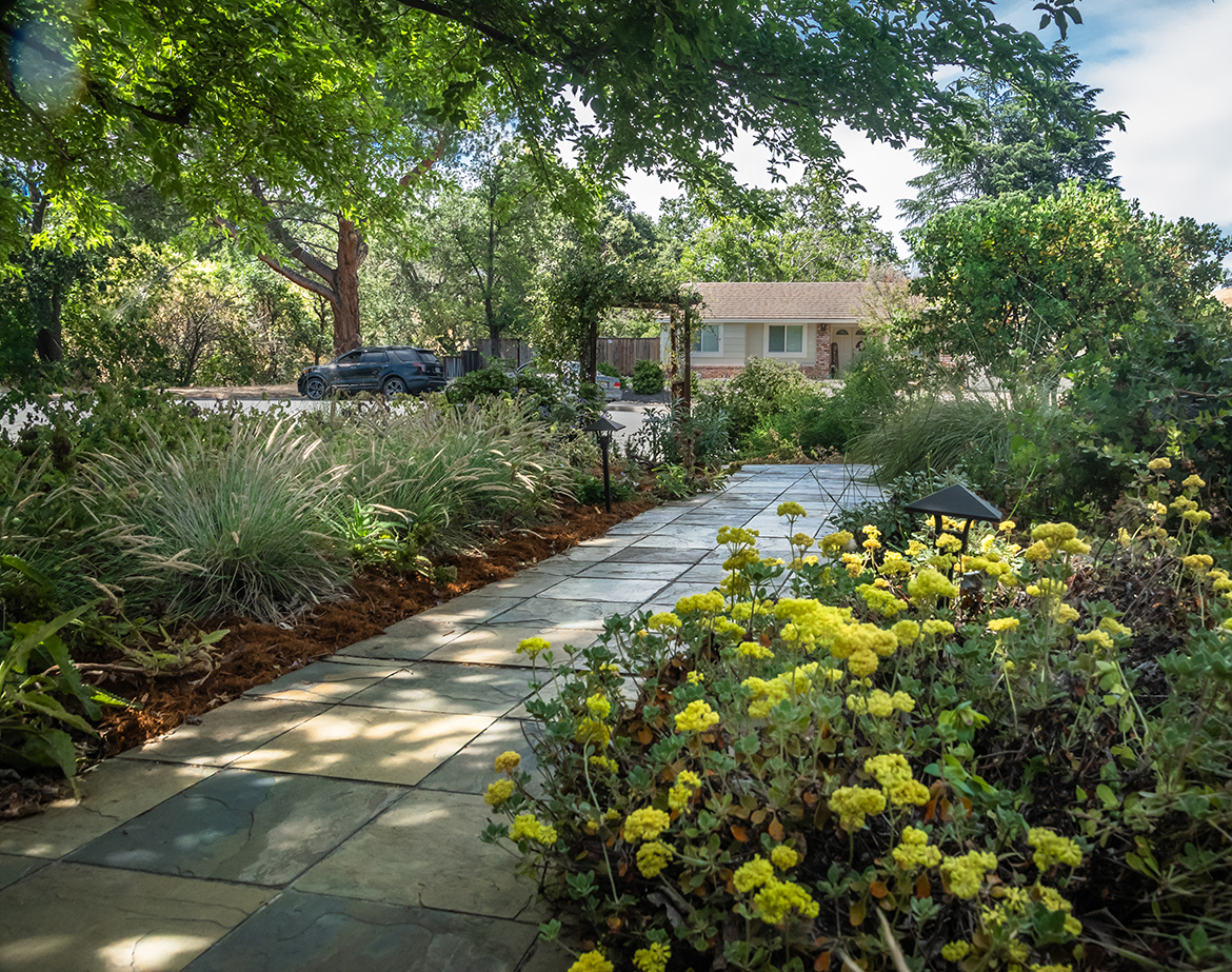 Peaceful Pathway