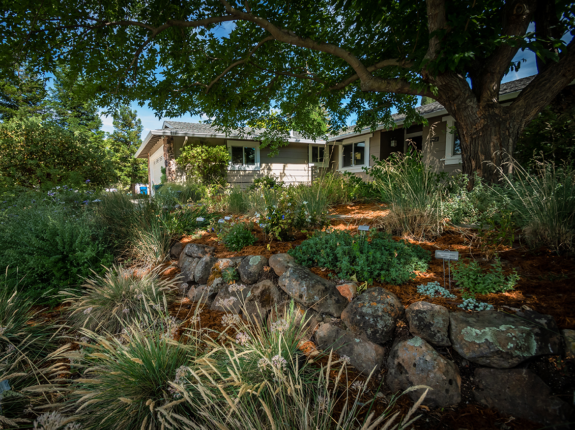 Rock Retaining Wall in Shade