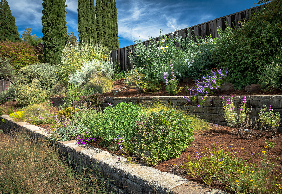 Garden Beds