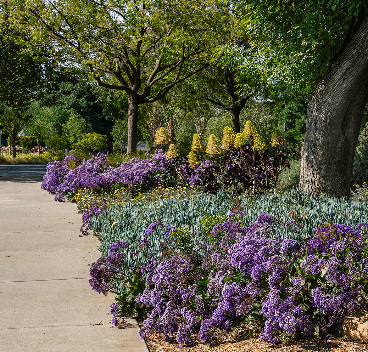 Pittsburg Wide Sidewalk
