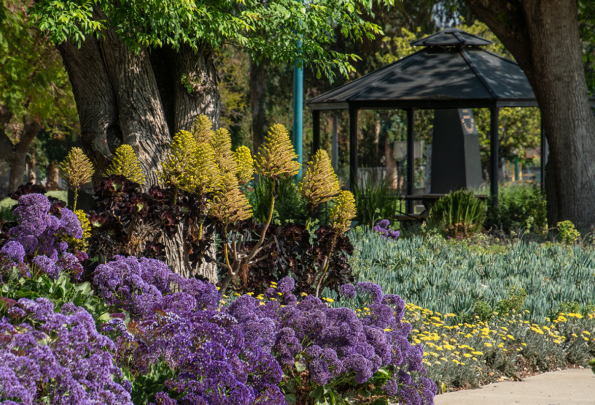 Gazebo in Background