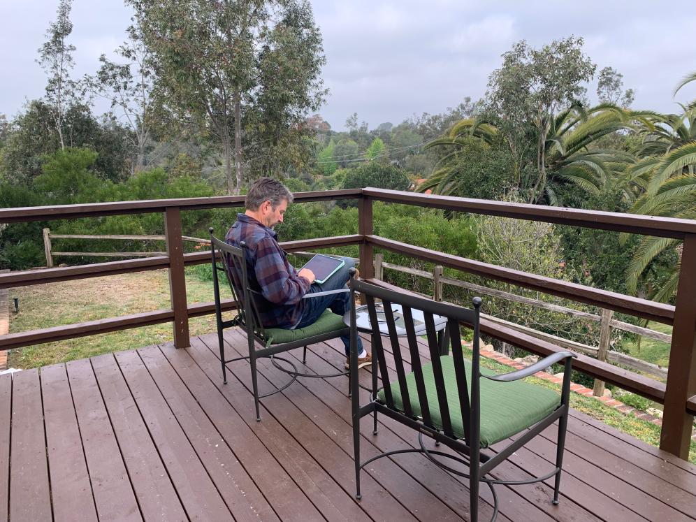 Overlooking Trees