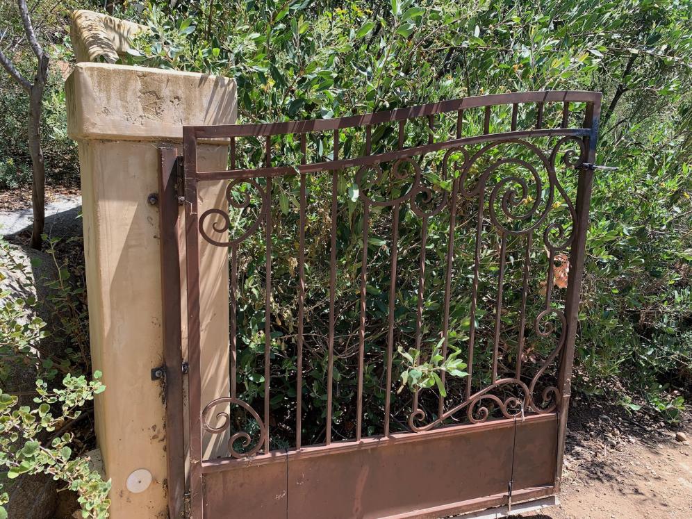 Gate Guarding Toyon