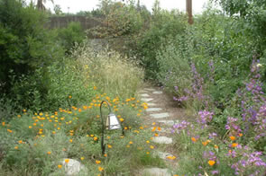 CALIFORNIA NATIVE GARDENS